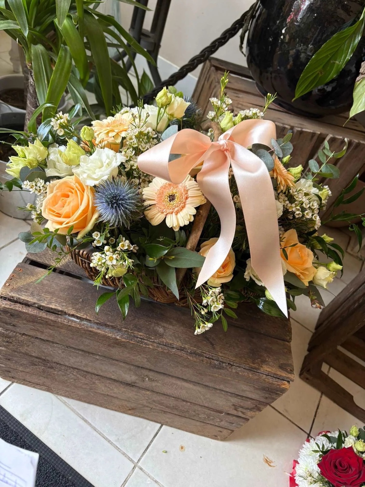 Flowering plant arrangement in a decorative pot